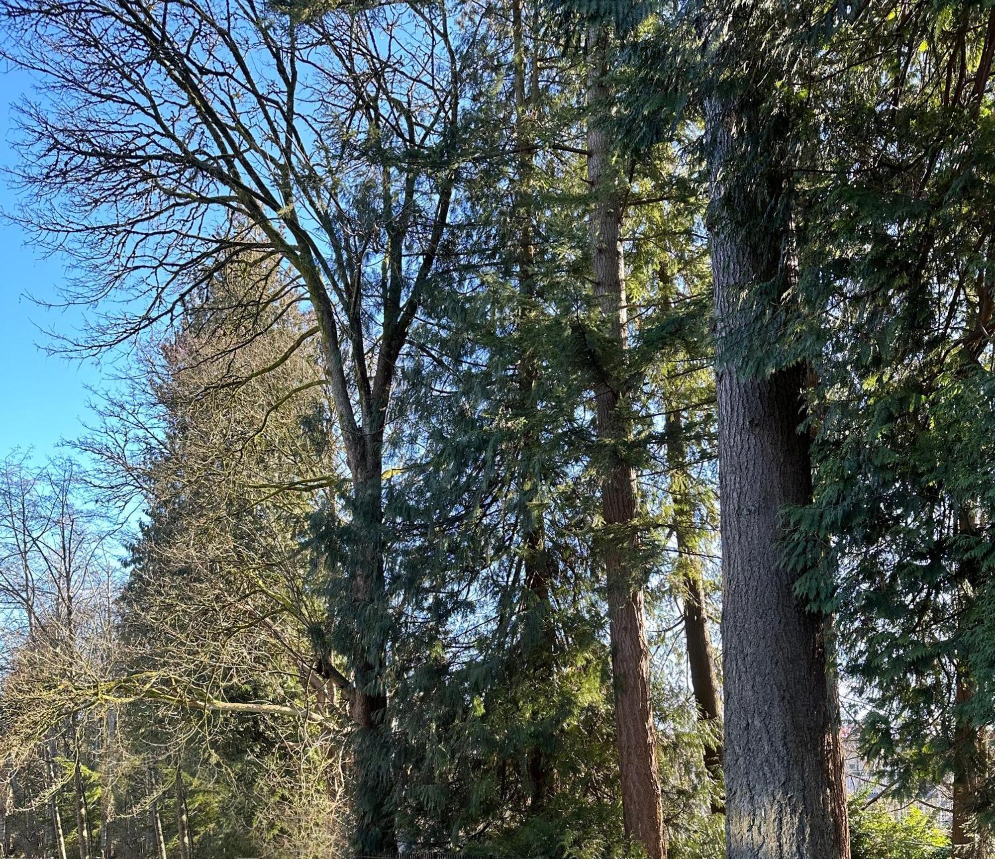 Canadian Inn Surrey Eksteriør billede